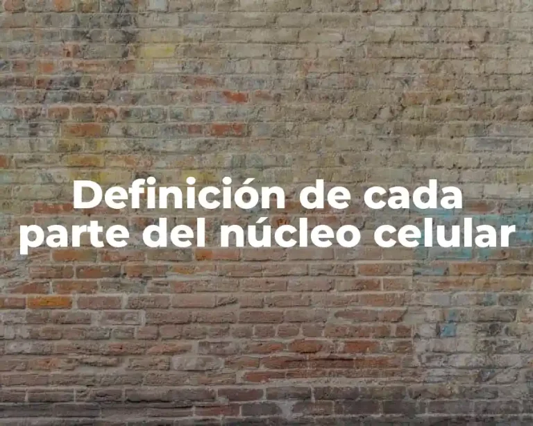 Definición de cada parte del núcleo celular