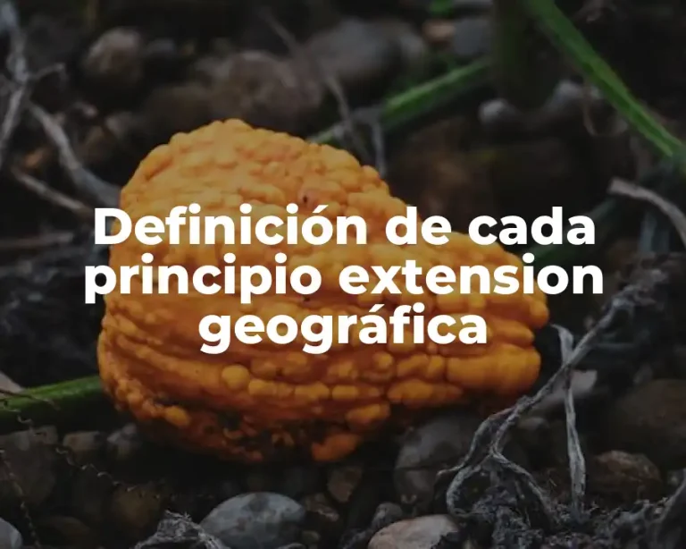 Definición de cada principio extension geográfica
