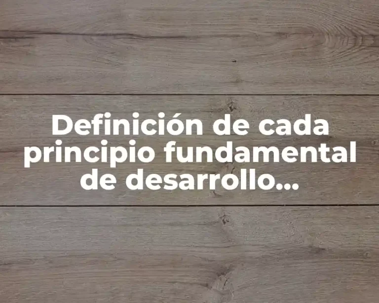 Definición de cada principio fundamental de desarrollo sustentable