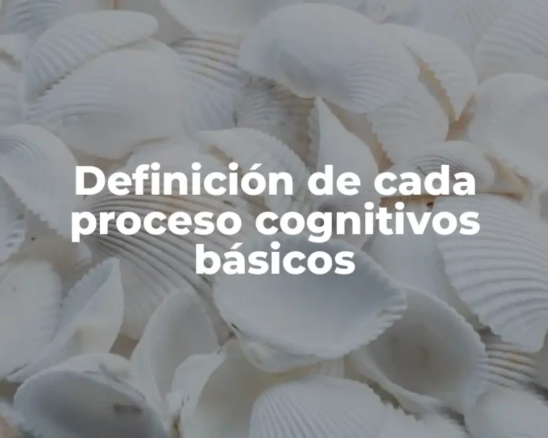 Definición de cada proceso cognitivos básicos