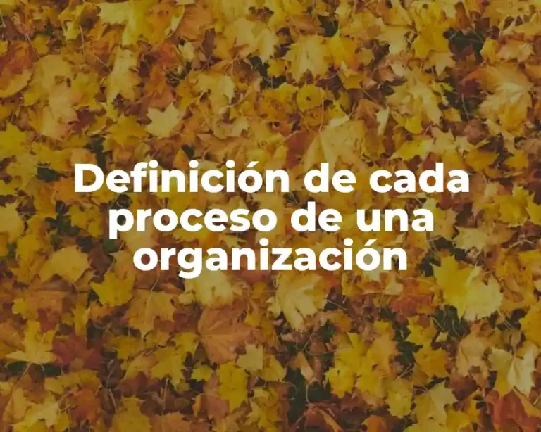 Definición de cada proceso de una organización