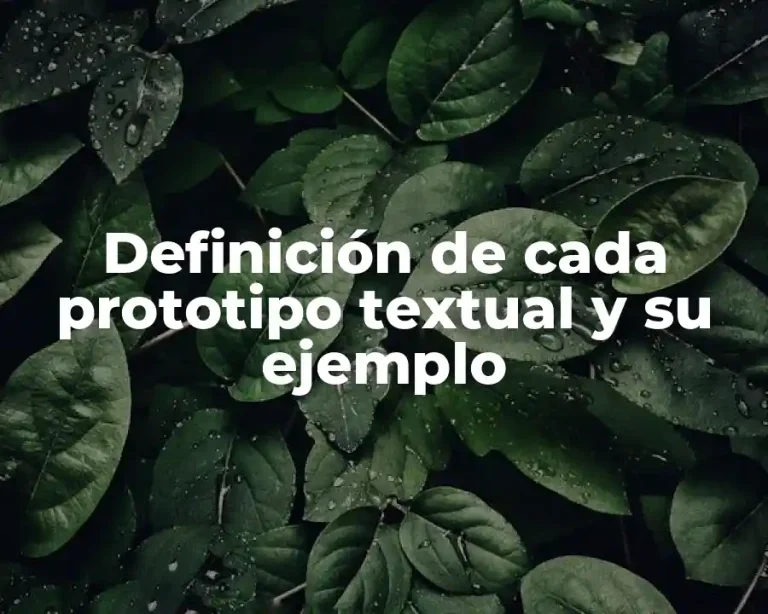 Definición de cada prototipo textual y su ejemplo