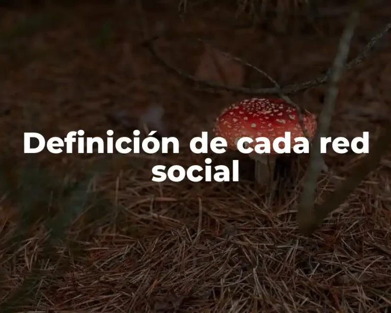 Definición de cada red social