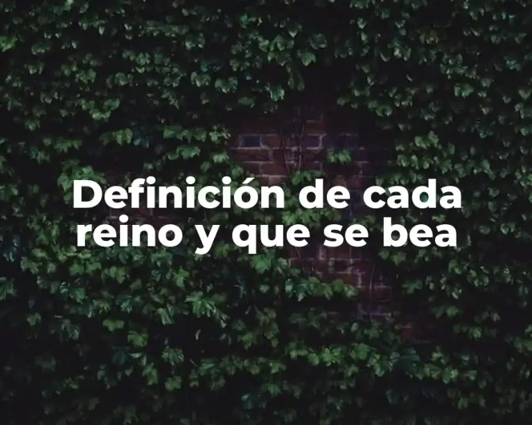 Definición de cada reino y que se bea