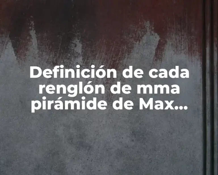 Definición de cada renglón de mma pirámide de Max Scheler