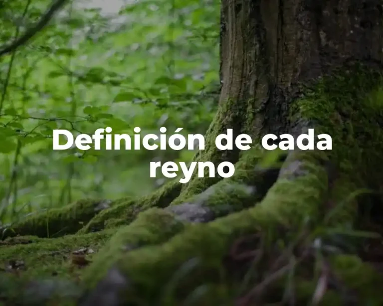 Definición de cada reyno