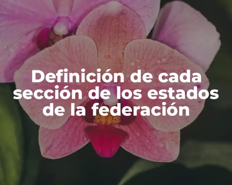 Definición de cada sección de los estados de la federación