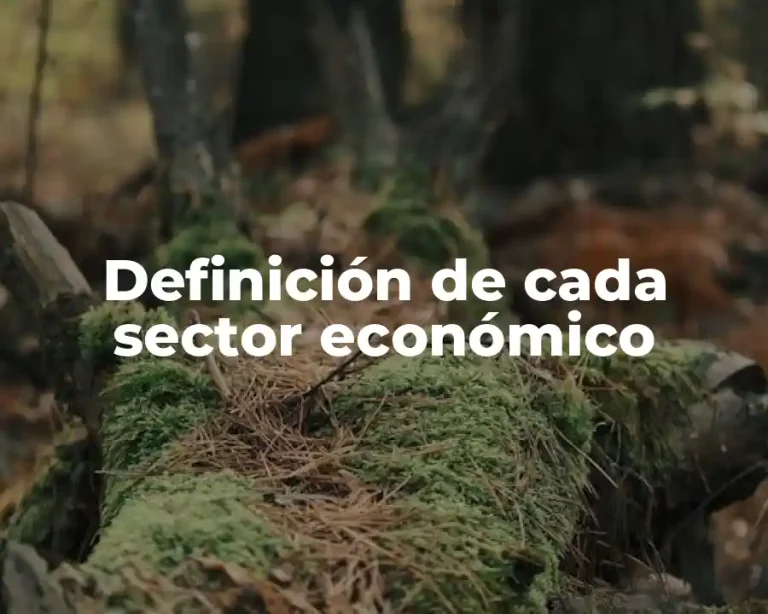 Definición de cada sector económico
