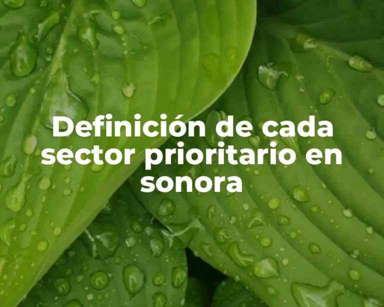 Definición de cada sector prioritario en sonora