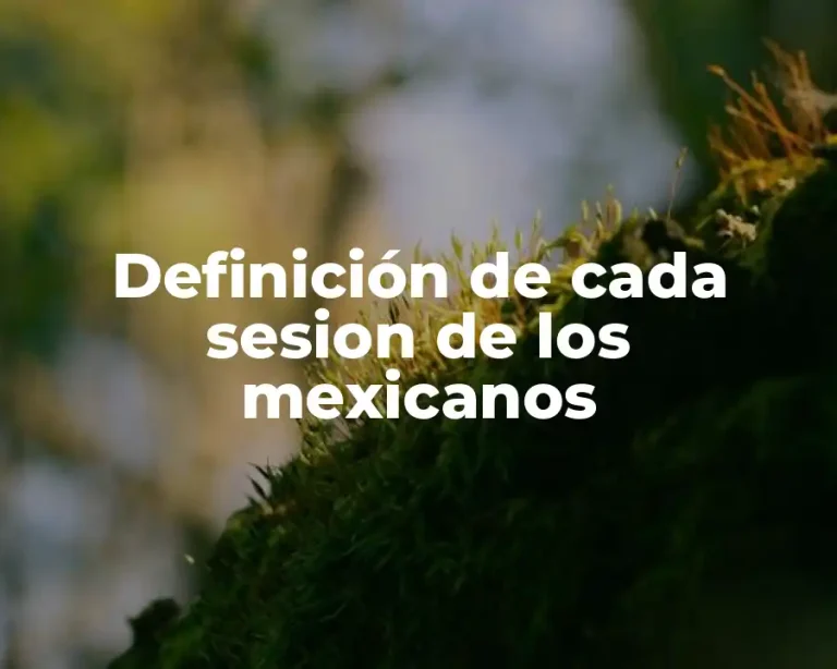 Definición de cada sesion de los mexicanos