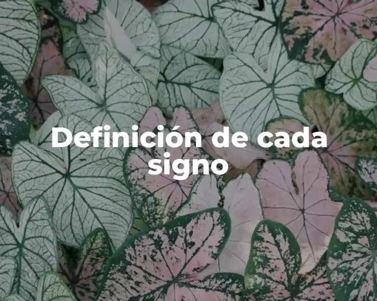 Definición de cada signo