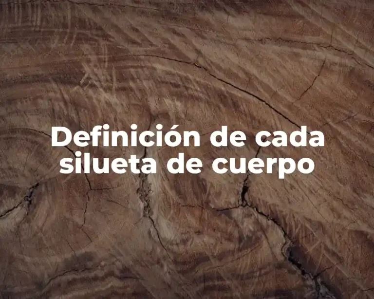 Definición de cada silueta de cuerpo