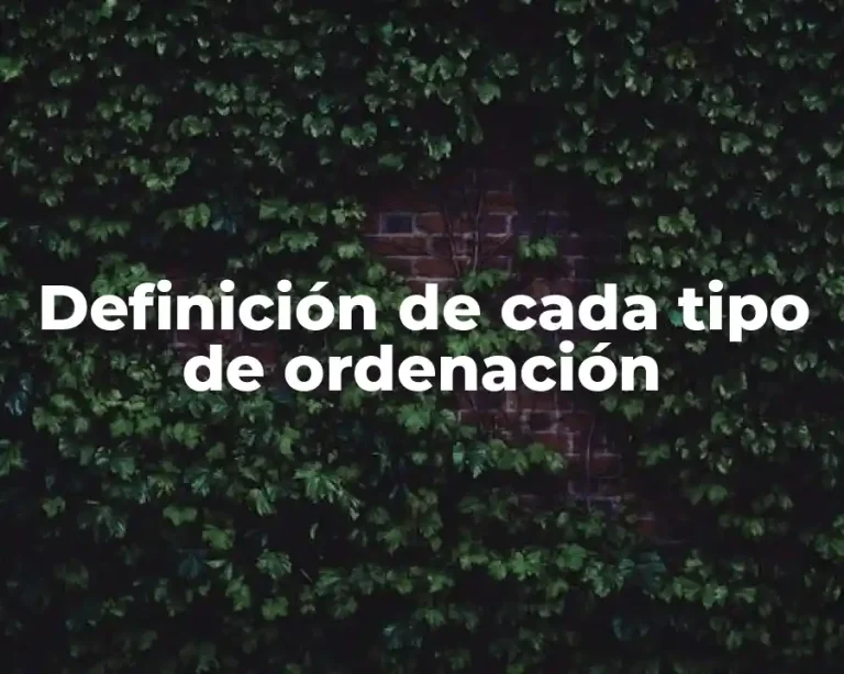 Definición de cada tipo de ordenación