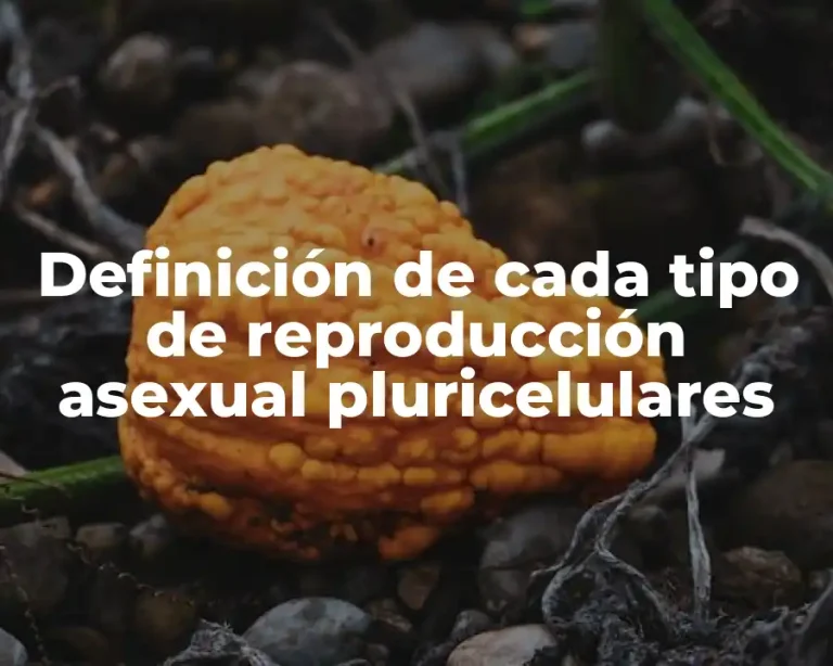 Definición de cada tipo de reproducción asexual pluricelulares