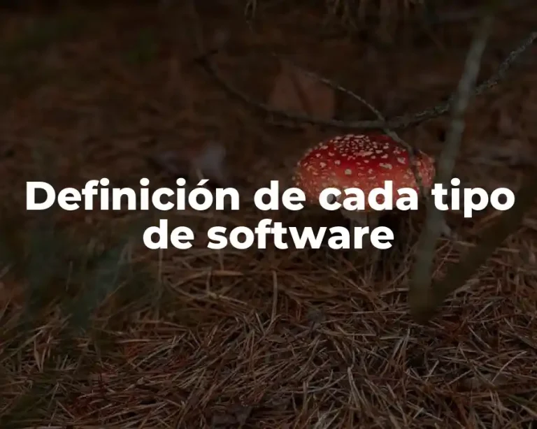 Definición de cada tipo de software