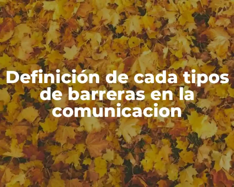 Definición de cada tipos de barreras en la comunicacion