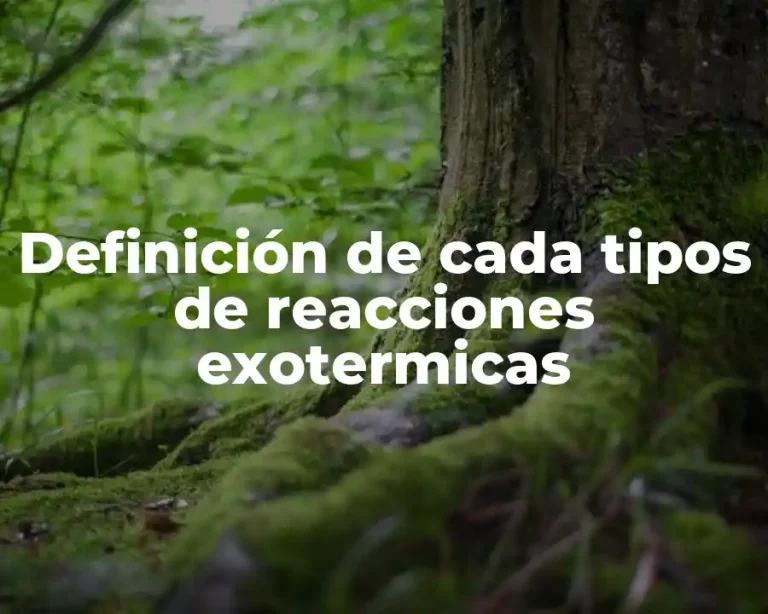 Definición de cada tipos de reacciones exotermicas