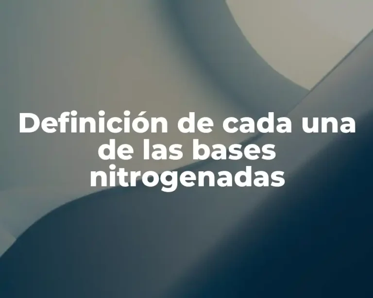 Definición de cada una de las bases nitrogenadas