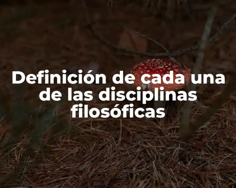 Definición de cada una de las disciplinas filosóficas