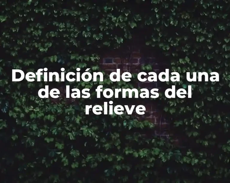 Definición de cada una de las formas del relieve