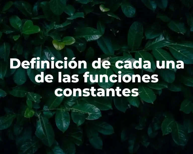 Definición de cada una de las funciones constantes