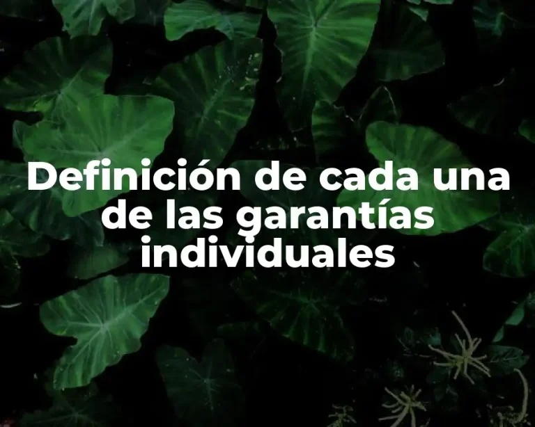 Definición de cada una de las garantías individuales