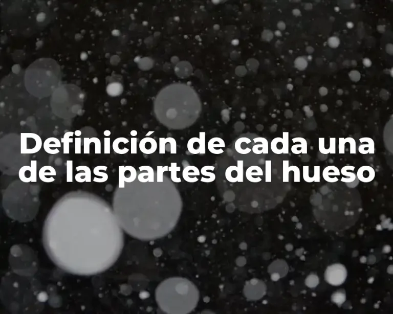 Definición de cada una de las partes del hueso