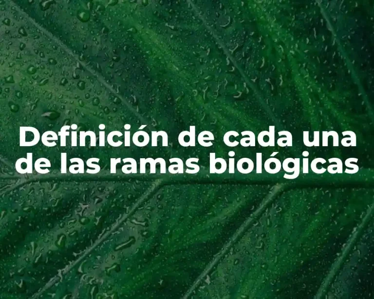 Definición de cada una de las ramas biológicas