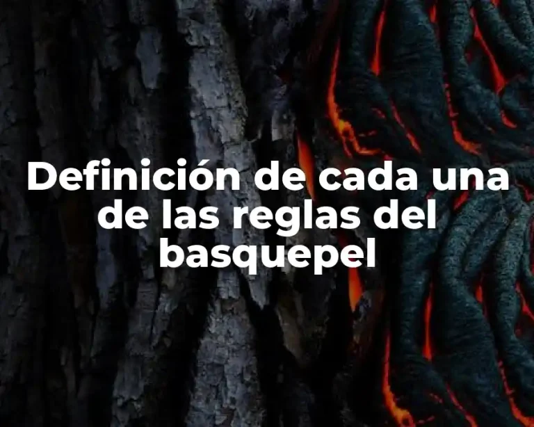 Definición de cada una de las reglas del basquepel