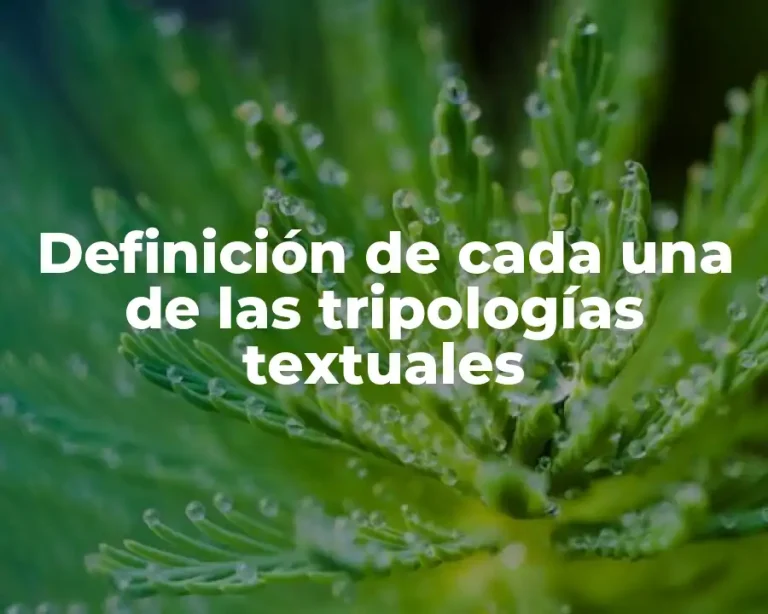 Definición de cada una de las tripologías textuales