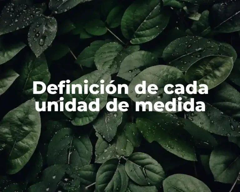 Definición de cada unidad de medida