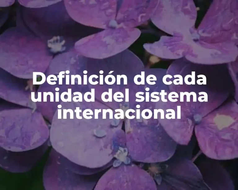 Definición de cada unidad del sistema internacional