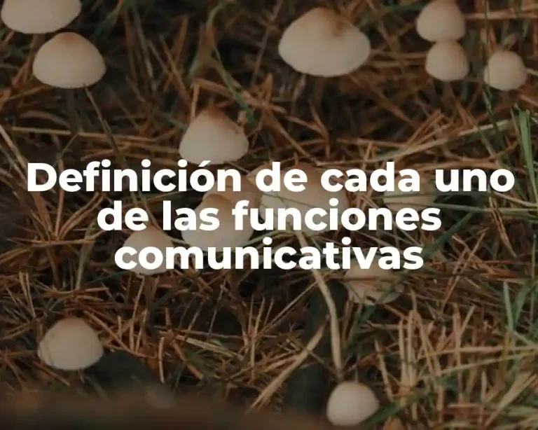 Definición de cada uno de las funciones comunicativas