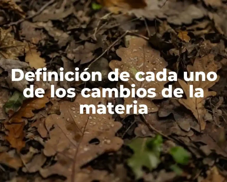 Definición de cada uno de los cambios de la materia