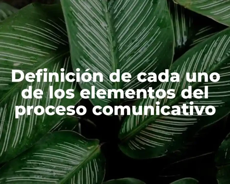 Definición de cada uno de los elementos del proceso comunicativo