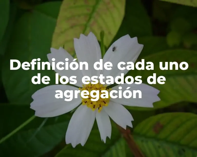 Definición de cada uno de los estados de agregación