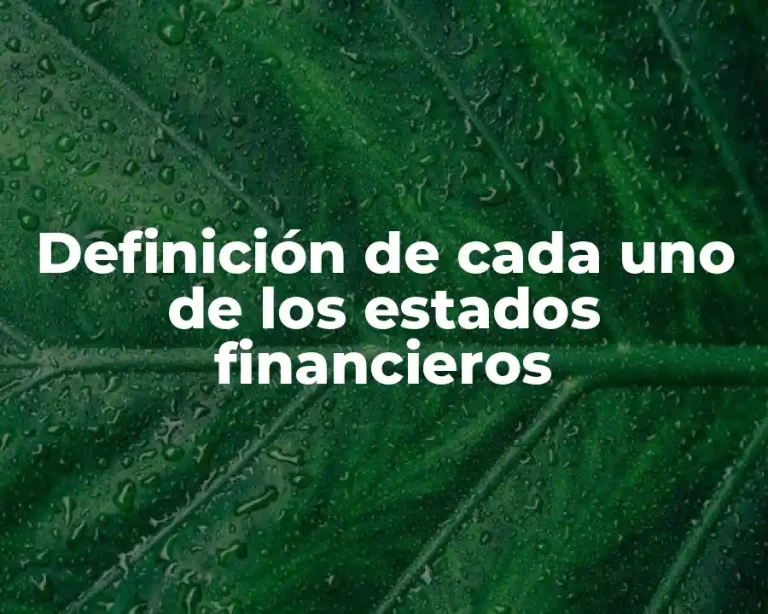 Definición de cada uno de los estados financieros