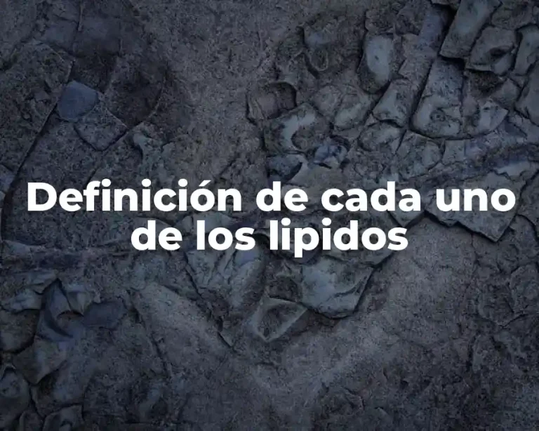 Definición de cada uno de los lipidos