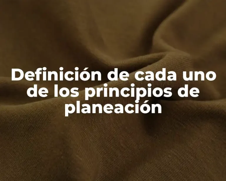 Definición de cada uno de los principios de planeación