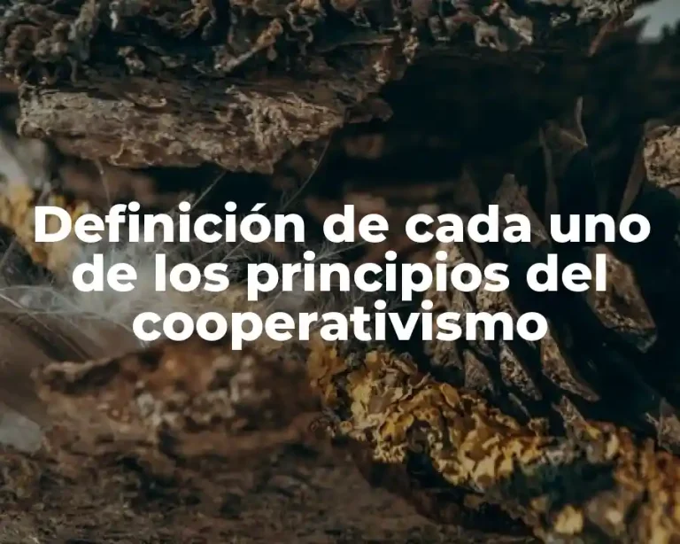 Definición de cada uno de los principios del cooperativismo