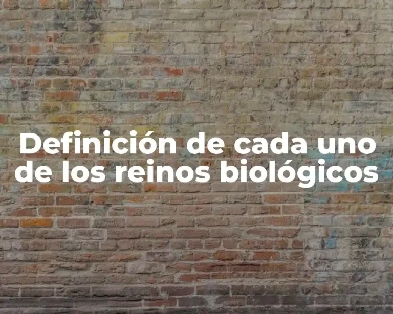 Definición de cada uno de los reinos biológicos