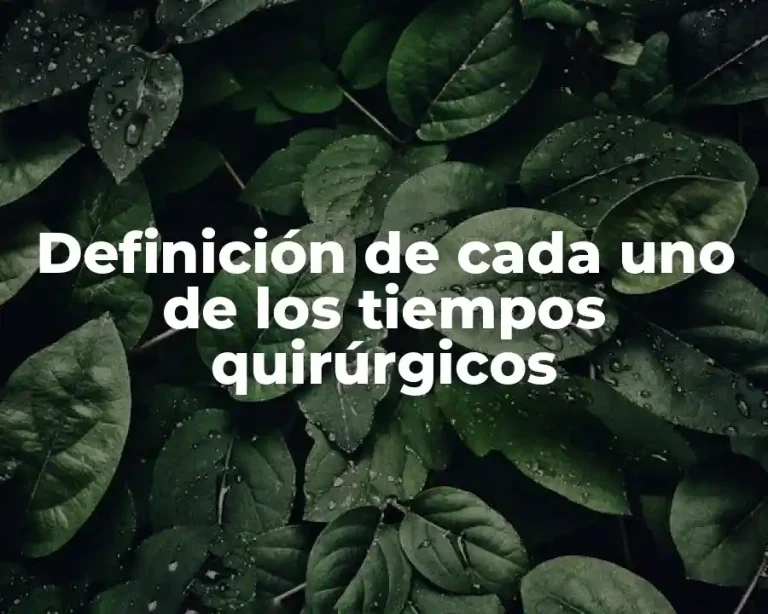 Definición de cada uno de los tiempos quirúrgicos