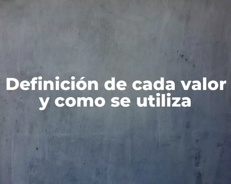 Definición de cada valor y como se utiliza