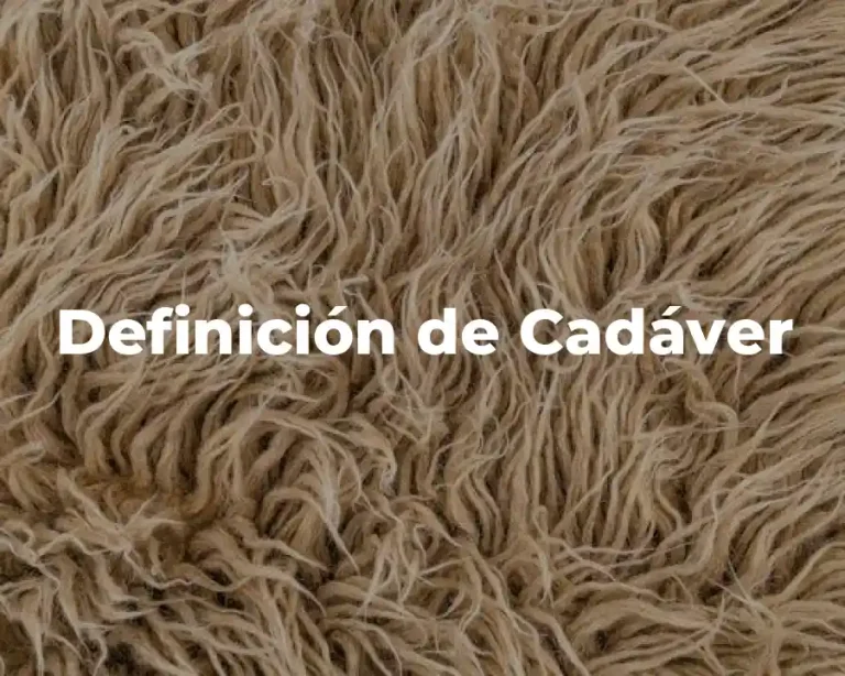 Definición de Cadáver