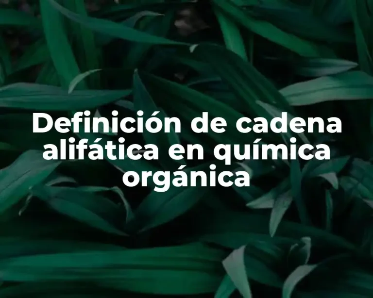 Definición de cadena alifática en química orgánica