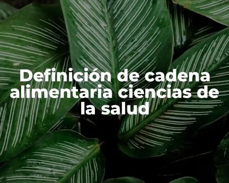 Definición de cadena alimentaria ciencias de la salud