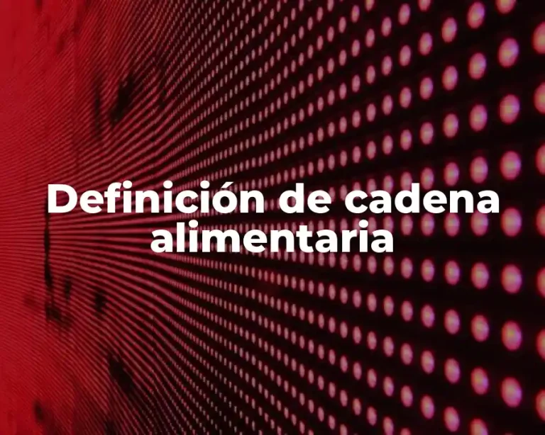 Definición de cadena alimentaria