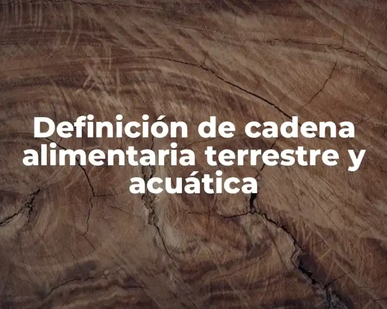 Definición de cadena alimentaria terrestre y acuática