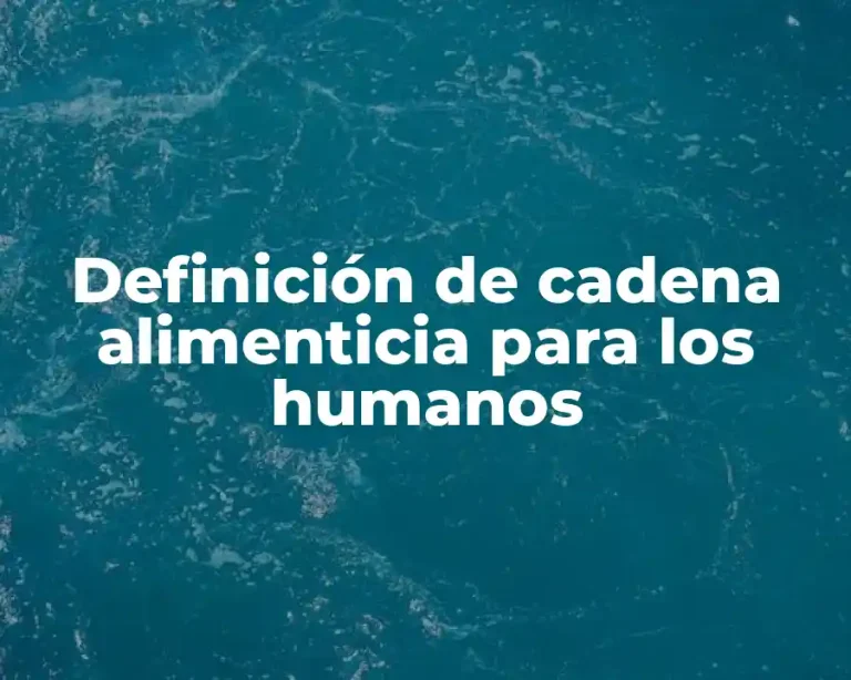 Definición de cadena alimenticia para los humanos