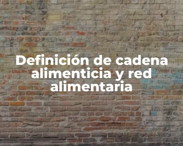 Definición de cadena alimenticia y red alimentaria